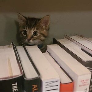 Meet your Posher, Lea